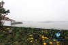 Gorgeous villa for rent on the lake side of Westlake, Tay Ho
